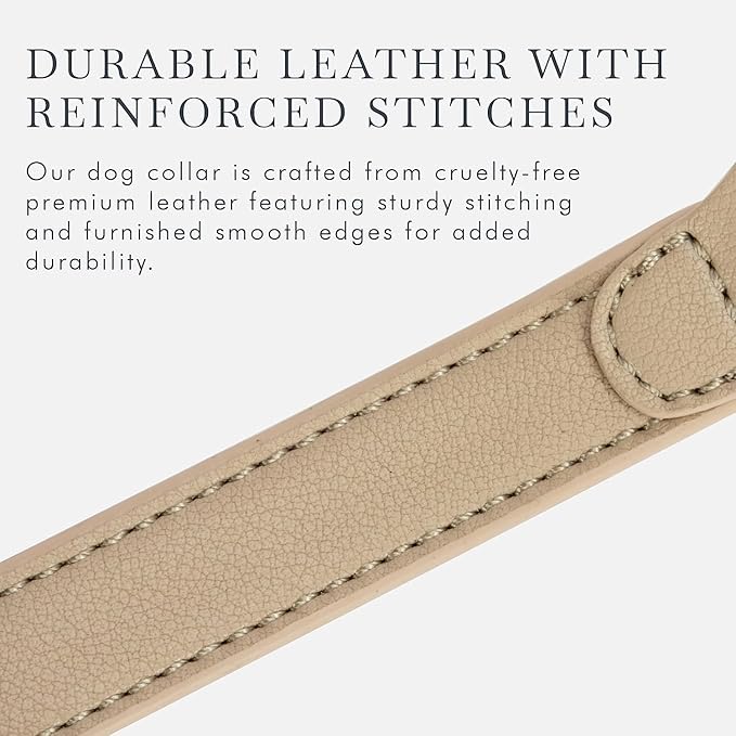 Cupertino Dog Collars, Harnesses &amp; Leashes Made from Vegan Leather with Dog Tracker Device Holder Adjustable Dog Collar (Medium, Beige)