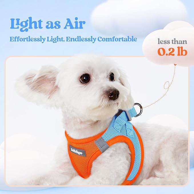 rabbitgoo Dog Harness Small Sized and Leash Set, Step in Soft Light Puppy Vest, Breathable Mesh Pet Harness, Reflective for Safe Easy Walking, Blue &amp; Orange XXXS