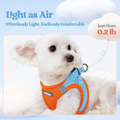 rabbitgoo Dog Harness Small Medium Sized and Leash Set, Step in Soft Light Puppy Vest, Breathable Mesh Pet Harness, Reflective for Safe Easy Walking, Blue &amp; Orange XL