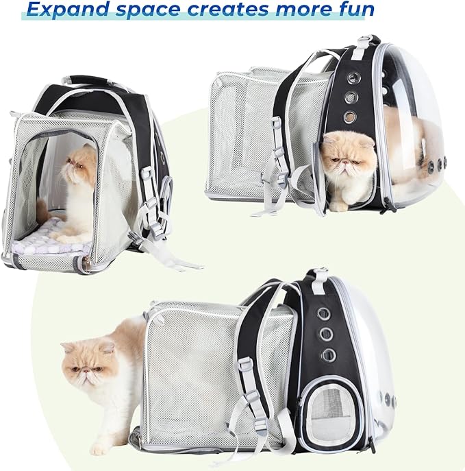 Lollimeow Cat Carrier Backpack, Bubble Expandable Backpack Carrier, Pets and Small Dogs,Airline-Approved, Designed for Travel, Hiking, Walking &amp; Outdoor Use (Square Back Expandable-Black)