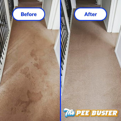 Generic Peebuster Pet Stain &amp; Odor Remover - Cleaning Spray for Dog and Cat Urine, 1 Count (Pack of 1)