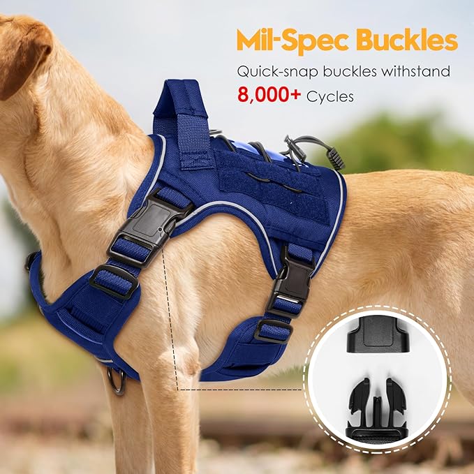 Heavy-Duty Tactical Dog Harness for Large Dogs, No Pull Adjustable Reflective Pet Vest with Molle System, K9 Military-Grade Control for Service Training, Outdoor &amp; 10+ Breeds, Dazzling Blue, Small