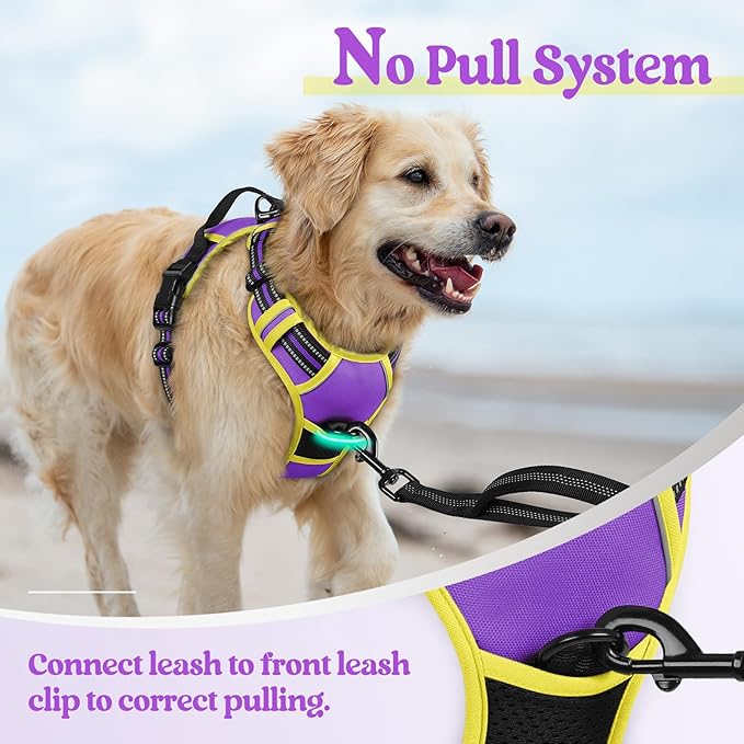 rabbitgoo Dog Harness No Pull with 2 Leash Clips, Adjustable Soft Padded, Reflective Oxford No Choke Pet Vest with Easy Control Handle for Medium Sized Dogs, Purple &amp; Yellow, M