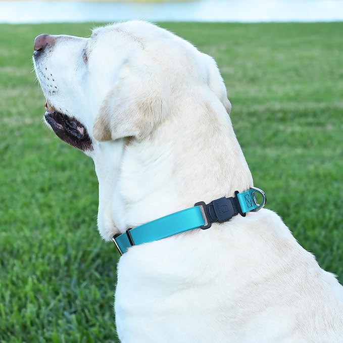 Dogline Biothane Waterproof Dog Collar with Herm Sprenger Stainless Steel Quick Release Buckle – Heavy Duty Tactical Durable Collar for Dogs – Comfortable and Safe Pet Collar, W 3/4" L 12-19" Sky Blue