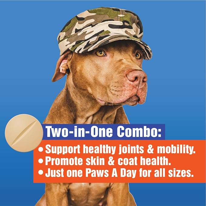 Glucosamine for Dogs Hip &amp; Joint Supplement – “Two-in-One Combo” Dog Joint Care and Improved Skin &amp; Coat with Chondroitin, MSM, Omega 3, Collagen &amp; Biotin, 60 Chewable Tablets