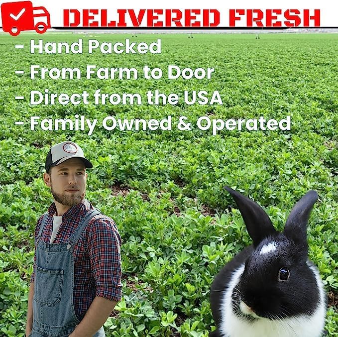 Bunny Honey Organic Alfalfa Hay for Guinea Pigs 12 lb Dim wt/5 lb High-Protein &amp; Calcium, Supports Growth &amp; Dental Health, Fresh &amp; Nutritious