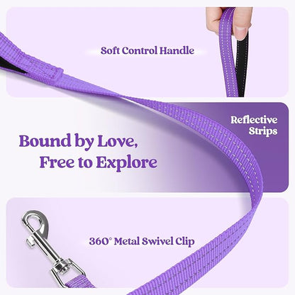 rabbitgoo Dog Harness Small Sized and Leash Set, Step in Soft Light Puppy Vest, Breathable Mesh Pet Harness, Reflective for Safe Outdoor Walking, Purple M