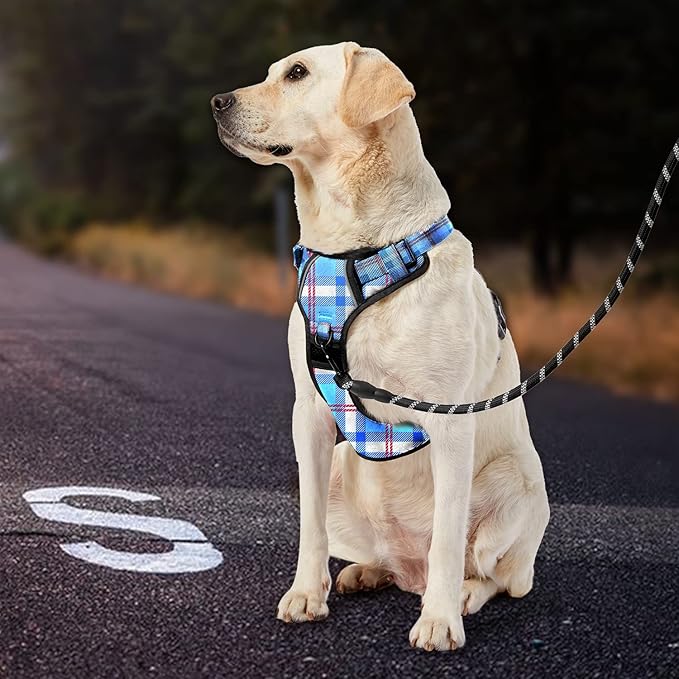 IVY&amp;LANE No Pull Dog Harness with Leash Set, Reflective No Choke Pet Vest,Adjustable Oxford Dog Vest Harness with Easy Control Handle for Medium Lagre Dogs (Checkered Blue,M)