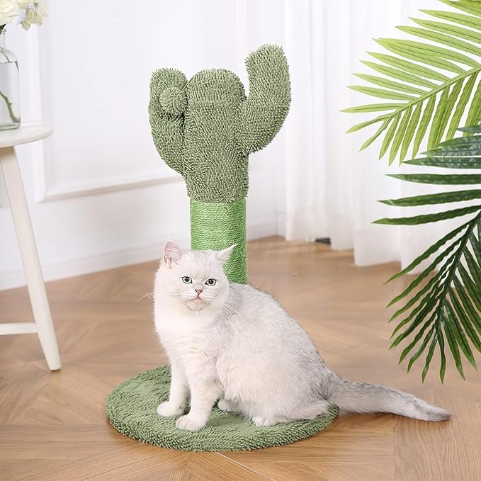 Amazon Basics Cat Scratcher - Indoor Cactus Single Cat &amp; Kittens Scratching Post with Dangling Ball, Medium (25.6"H) - Green