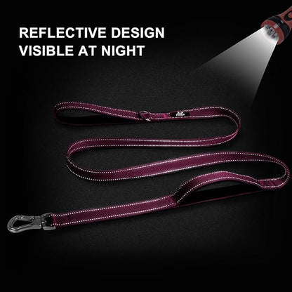 TwoEar 4FT 1IN Strong Rose Dog Leash with 2 Padded Handles, Traffic Handle Extra Control, Comfortable Soft Dual Handle, Auto Lock Hook, Reflective Walking Lead for Small Medium and Large Dogs