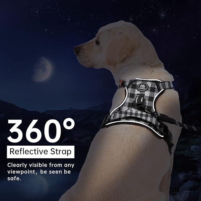 IVY&amp;LANE No Pull Dog Harness with Leash Set, Reflective No Choke Pet Vest,Adjustable Oxford Dog Vest Harness with Easy Control Handle for Small Dogs (Checkered Black,S)