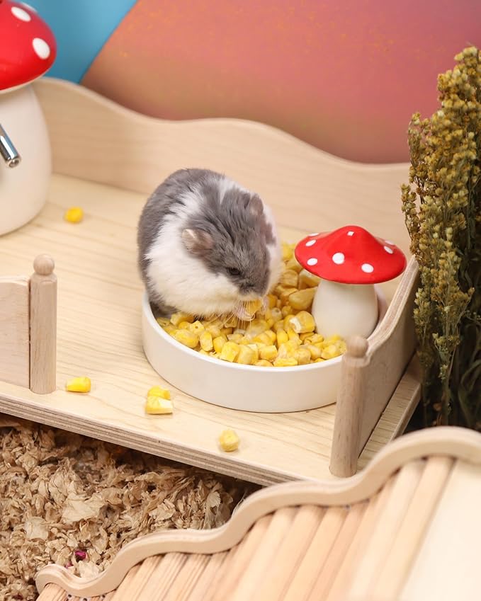 Niteangel Hamster Snack &amp; Treats Toy - Small Animal Natural Treat for Dwarf Syrian Robo Hamsters Gerbils Mice Lemmings Degus or Other Small-Sized Pets