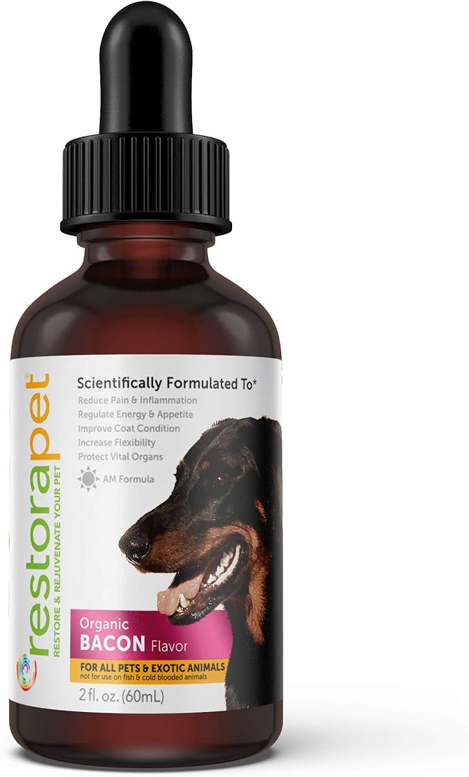 RestoraPet 1-Pack Dog &amp; Cat Bacon Liquid Multivitamin | Dog Arthritis Pain Relief | Hip &amp; Joint Vitamins for Dogs - Anti Inflammatory Supplement for Dogs &amp; Cats | Organic &amp; Non-GMO, Vet Approved