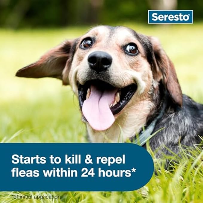 Seresto Small Dog Vet-Recommended Flea &amp; Tick Treatment &amp; Prevention Collar for Dogs Under 18 lbs. | 8 Months Protection