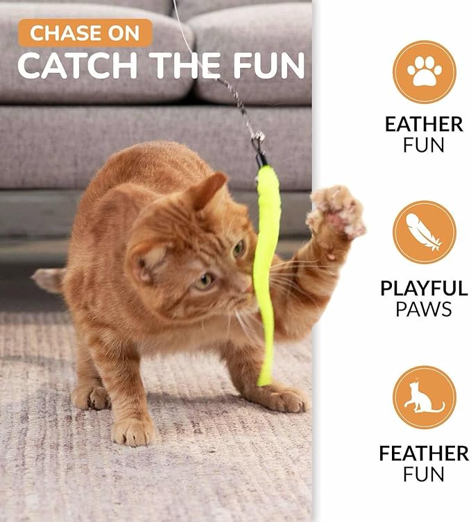 PAWSITIVE Interactive Cat Toys - Retractable Feather Wand with Refill Set 12PCS - Perfect for Indoor Cats to Chase, Exercise &amp; Bond with Their Owners