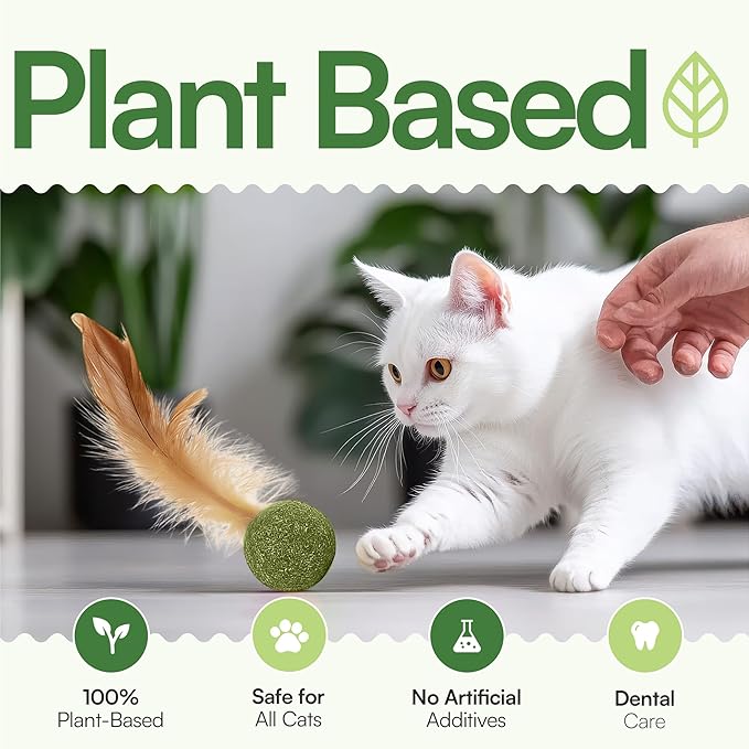 3 Pcs Catnip Balls with Feathers – Natural Catnip Toy for Play, Stress Relief &amp; Healthy Enrichment Interactive Cat Toys Perfect for Indoor Cats &amp; Kittens, Encourages Active Play &amp; Wellness