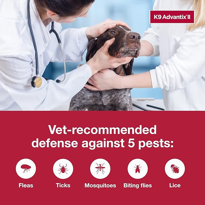 K9 Advantix II XL Dog Vet-Recommended Flea, Tick &amp; Mosquito Treatment &amp; Prevention | Dogs Over 55 lbs. | 6-Mo Supply (Pack of 2)
