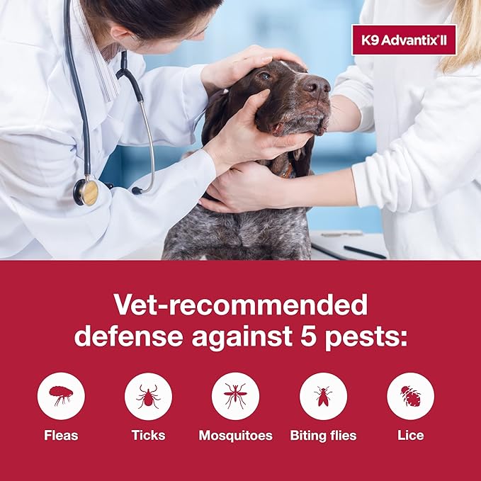 K9 Advantix II XL Dog Vet-Recommended Flea, Tick &amp; Mosquito Treatment &amp; Prevention | Dogs Over 55 lbs. | 1-Mo Supply