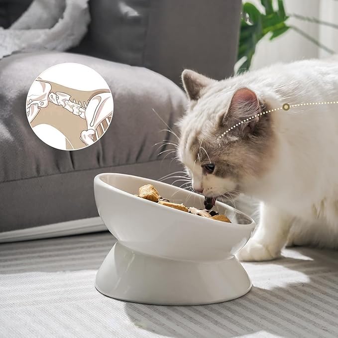 YINGFAN Elevated Cat Bowls, 5oz Ceramic Raised Cat Bowl for Cats/Kittens with Tilted Design, Porcelain Cats Feeding Dishes for Food/Water, Anti Vomit, Microwave &amp; Dishwasher Safe (Light White)