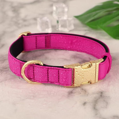 Didog Soft Padded Dog Collars for Small Dogs, Colorful and Durable Dog Collar with Quick Release Buckle, Light and Breathable for Daily Walking, Rose Purple, S