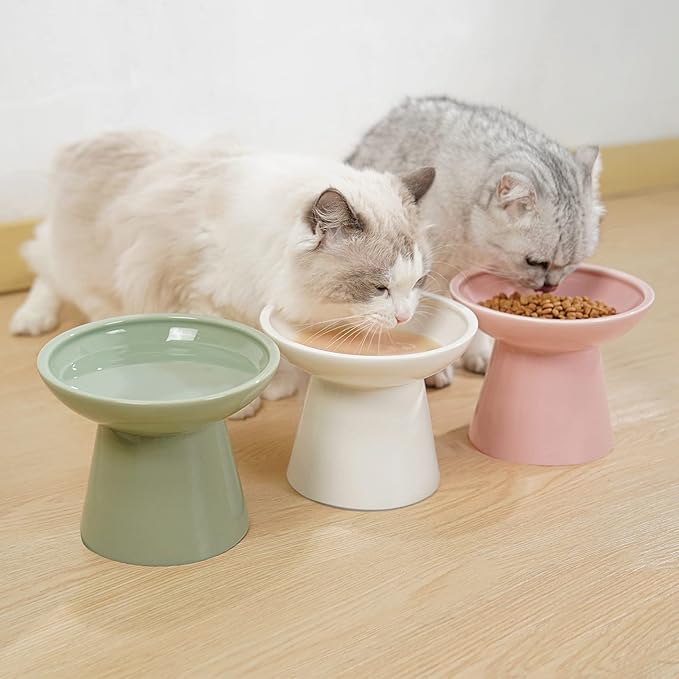 Extra Wide Elevated Ceramic Cat Food Bowl - 6.2" Shallow Dish for Whisker Fatigue Relief, 5" Height for Easy Feeding, Lead &amp; Cadmium Free, Durable Raised Cat Food Bowls, Sage Green