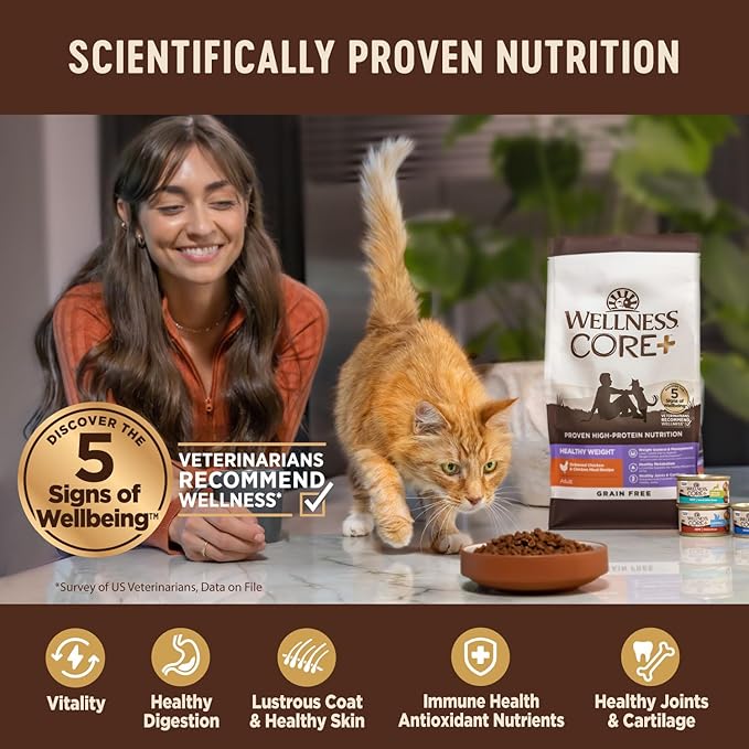 Wellness CORE+ Adult Dry Cat Food for Indoor and Outdoor Cats, Wholesome Grains, Natural, Digestive Health Chicken &amp; Rice (11 Pound Bag)