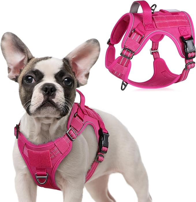 rabbitgoo Tactical Dog Harness for Small Dogs, No Pull Military Service Vest with Handle &amp; Molle, Easy Control for Training Walking, Adjustable Reflective Straps, Rose Red, S