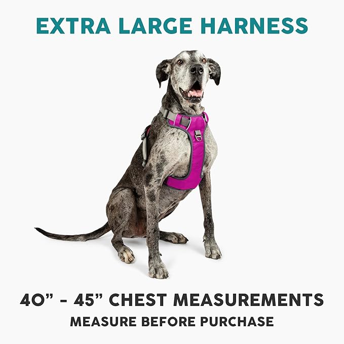 Embark Adventure Dog Harness, Reflective Trim XL Dog Harness for Extra Large Dogs No Pull - Military Grade Nylon, 2 Leash Clips &amp; Gel Lined Handle.