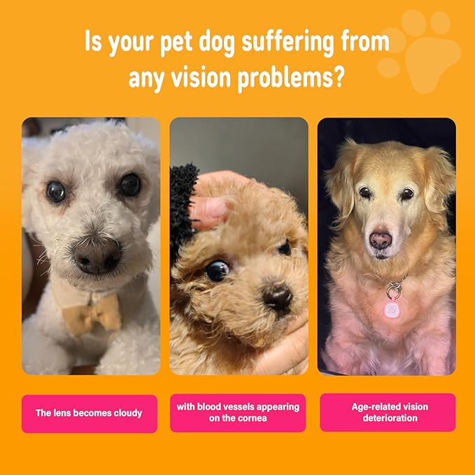 Eye Supplements for Dogs - Vision Support Soft Chews with Lutein, DHA &amp; Vitamin C | 120ct Salmon Flavor Tear Stain Chews | Cataract &amp; Dry Eye Relief Supplement (120 Ct, Salmon)