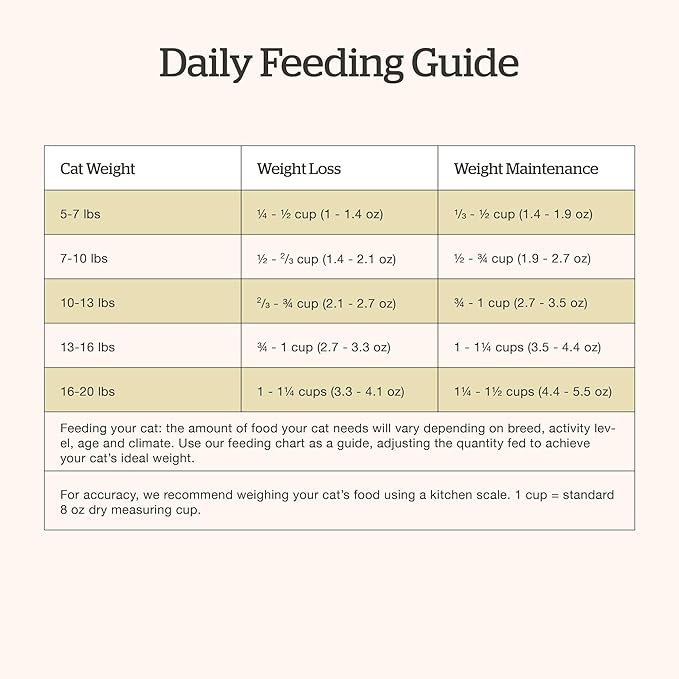 Now Fresh Grain-Free Senior Dry Cat Food with Turkey, Salmon &amp; Duck, Premium Kibble Made with Real Meat &amp; Fish, Chicken-Free Recipe, Supports Healthy Weight Management, 8 lb Bag