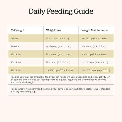 Now Fresh Grain-Free Senior Dry Cat Food with Turkey, Salmon &amp; Duck, Premium Kibble Made with Real Meat &amp; Fish, Chicken-Free Recipe, Supports Healthy Weight Management, 8 lb Bag