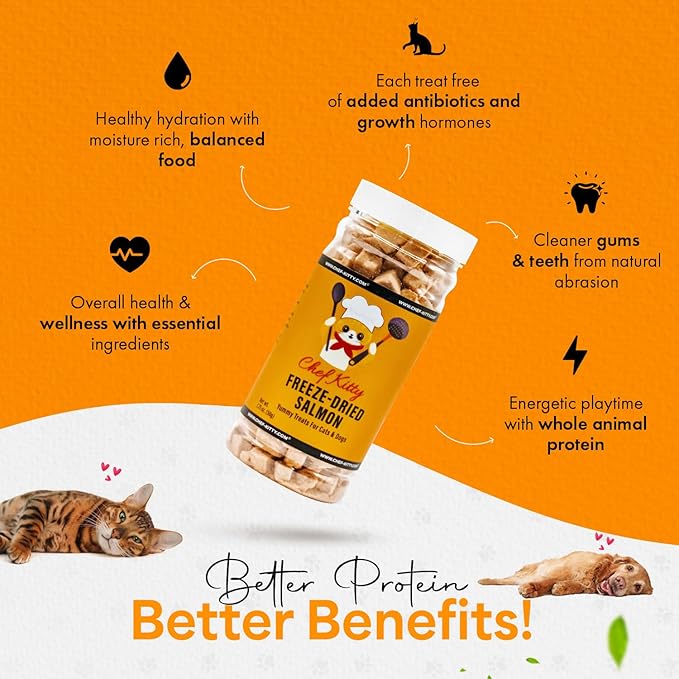 Freeze-Dried Salmon Treats for Cats &amp; Dogs – 100% Wild Caught, Single Ingredient, High-Protein, Healthy Snack – No Additives or Preservatives – 1.4oz - Inspected &amp; Tested in USA