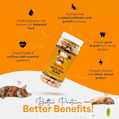 Freeze-Dried Salmon Treats for Cats &amp; Dogs – 100% Wild Caught, Single Ingredient, High-Protein, Healthy Snack – No Additives or Preservatives – 1.4oz - Inspected &amp; Tested in USA