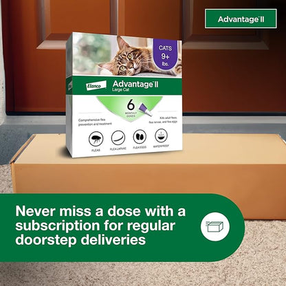 Advantage II Large Cat Vet-Recommended Flea Treatment &amp; Prevention | Cats Over 9 lbs. | 6-Month Supply