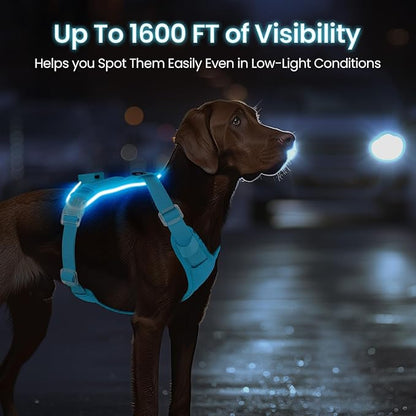 Light Up Dog Harness - Rechargeable LED Reflective Pet Vest for Night Walking - Adjustable No-Pull Safety Harness for Small Medium Large Dogs, Blue, XS
