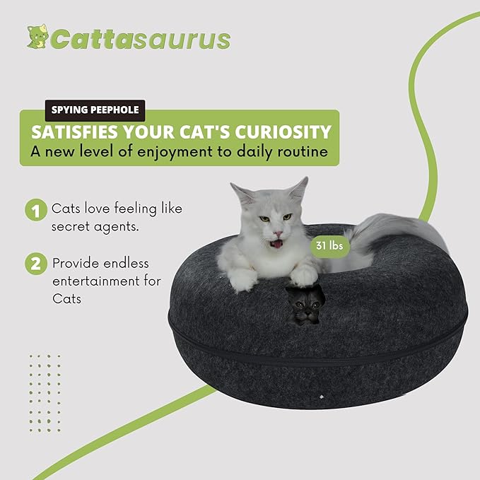 Cattasaurus Peekaboo Cat Cave, Extra Spacious for Multiple &amp; Large Cats 12+ lbs, Scratch Detachable Beds for Indoor Cats, Washable Tunnel Bed, Comfy Cat Donut Tunnel (Dark Gray+Dark Gray, Jumbo)
