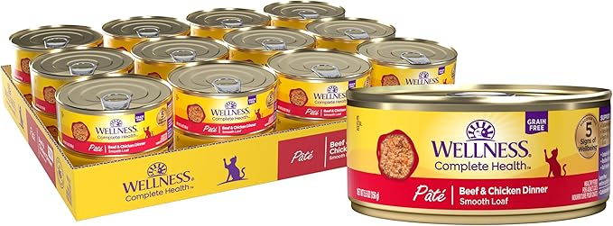 Wellness Complete Health Pate Adult Wet Cat Food, Natural, Protein-Rich, Grain Free, 5.5 Ounce, 24 Pack, (Beef &amp; Chicken)
