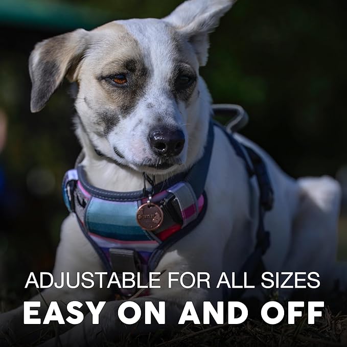 Embark Adventure Dog Harness, Reflective Trim No Pull Harness for Large Dogs - Military Grade Nylon, Front Clip with Gel Lined Handle. Soft &amp; Padded Puppy Harnesses for Any Breed