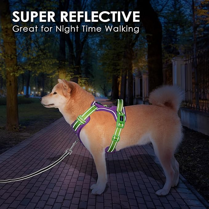 PHOEPET No Pull Dog Harness, Unique Colors Reflective Adjustable Dog Vest, with Soft Training Handle Metal Clips for Small Medium Large Dogs (Purple Base &amp; Green Straps,XL)