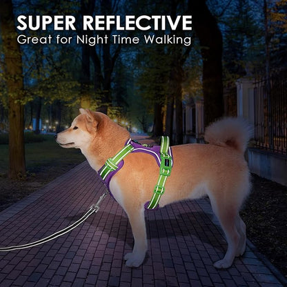 PHOEPET No Pull Dog Harness, Unique Colors Reflective Adjustable Dog Vest, with Soft Training Handle Metal Clips for Small Medium Large Dogs (Purple Base &amp; Green Straps,S)