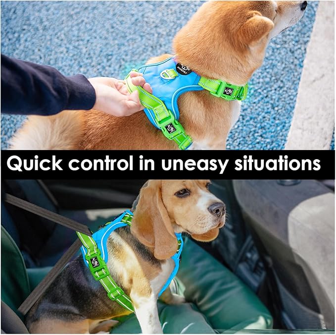 PHOEPET No Pull Dog Harness, Unique Colors Reflective Adjustable Dog Vest, with Soft Training Handle Metal Clips for Small Medium Large Dogs (Blue Base &amp; Green Straps,S)