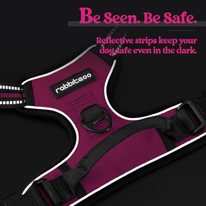 rabbitgoo Dog Harness No Pull with 2 Leash Clips, Adjustable Soft Padded, Reflective Oxford No Choke Pet Vest with Easy Control Handle for Medium Sized Dogs, Hot Pink, M