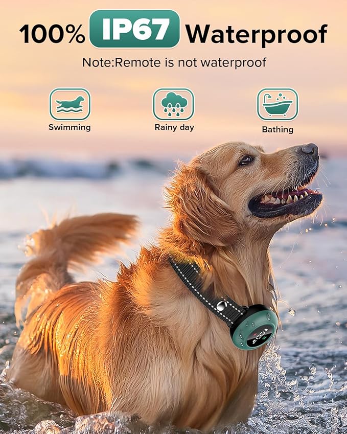 [New 2025] 2-in-1 Dog Shock Collar &amp; Bark Collar – 3300FT Dog Training Collar with Remote, Automatic Anti-Barking, 5 Adjustable Sensitivity Levels, IP67 Waterproof E-Collar for Small Medium Large Dogs