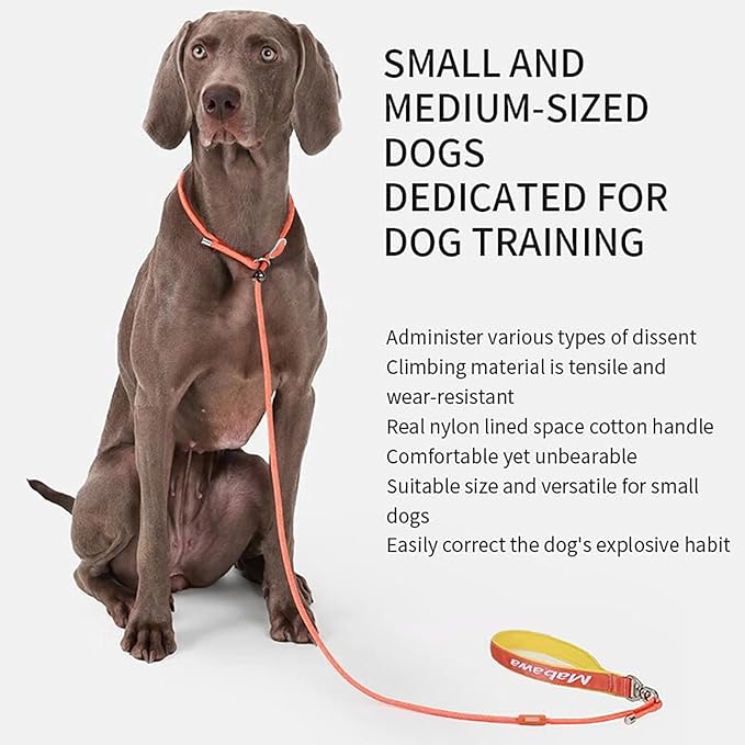 Dog Anti-Slip Leash 5FT with Metal Stopper - Durable No-Pull Training Lead for Small, Medium &amp; Large Dogs - Comfortable Handle Nylon Rope, Tangle-Free Pet Walking Leash (Orange, 5 FT)