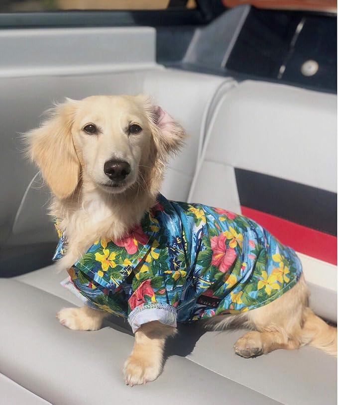 Parisian Pet Stylish Dog Hawaiian Shirt - Cotton Summer Beach Outfit - Hook &amp; Loop Closure - Machine Washable - XS