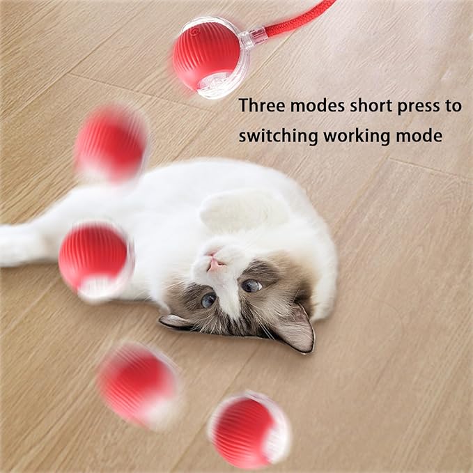 Interactive Cat Toy Ball for Indoor Cats - 3-Speed Smart Rolling Ball with Flashing Lights, USB Rechargeable Automatic Motion Kitten Toys for Bored Adult Cats &amp; Playful Kittens