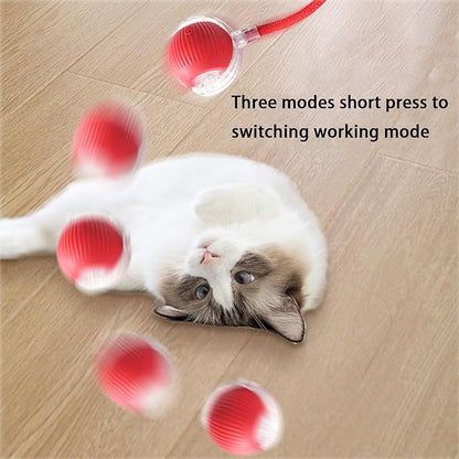 Interactive Cat Toy Ball for Indoor Cats - 3-Speed Smart Rolling Ball with Flashing Lights, USB Rechargeable Automatic Motion Kitten Toys for Bored Adult Cats &amp; Playful Kittens