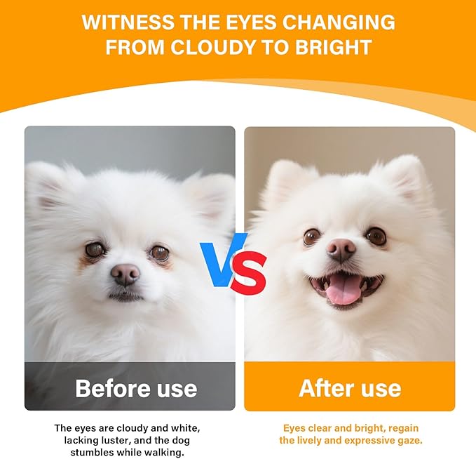 Eye Supplements for Dogs - Vision Support Soft Chews with Lutein, DHA &amp; Vitamin C | 120ct Salmon Flavor Tear Stain Chews | Cataract &amp; Dry Eye Relief Supplement (120 Ct, Salmon)