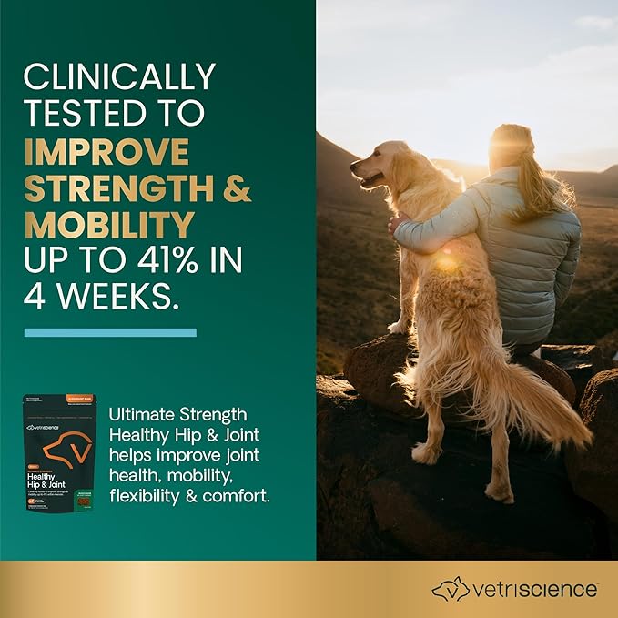 VetriScience Ultimate Strength Healthy Hip &amp; Joint Chews, GlycoFlex Glucosamine, Chondroitin and Green-Lipped Mussel Joint Support Supplement for Dogs, Soothe Joint Discomfort, Duck, 60 Count