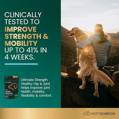 VetriScience Ultimate Strength Healthy Hip &amp; Joint Chews, GlycoFlex Glucosamine, Chondroitin and Green-Lipped Mussel Joint Support Supplement for Dogs, Soothe Joint Discomfort, Duck, 60 Count